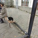 ���� Kaspersky, ������, 36 ��� - ��������� 14 ������ 2026 � ������ ������������ ������� 2025�