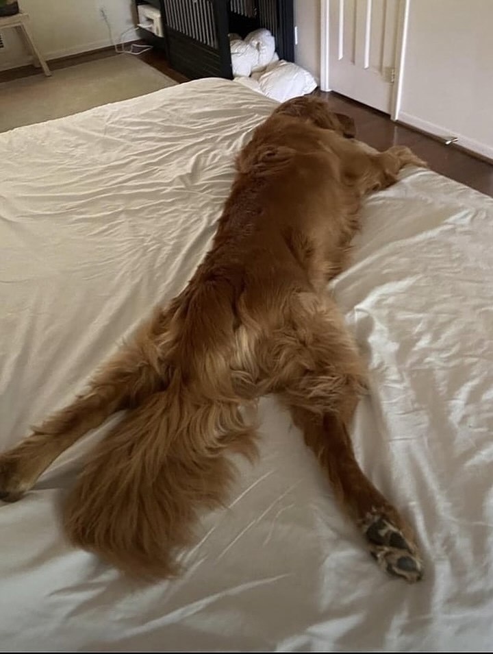  -      ,   .    , ... - 10