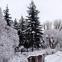 ���� ��������, ����� - ��������� 25 ������� 2026 � ������ ���� ����������