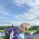 ���� �����, ��������, 53 ���� - ��������� 25 �������� 2025 � ������ ���� ����������