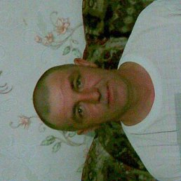 , 41 , 