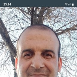 , 55, 
