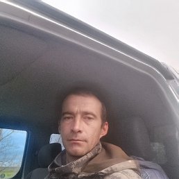  , 41 , 