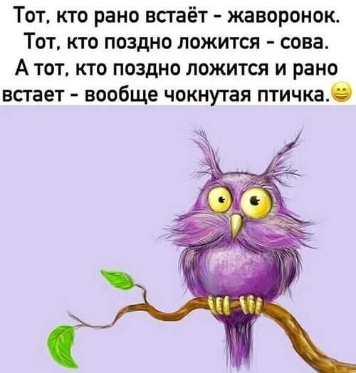Хронотип "сова" или "жаворонок" заложен генетически.Склонность человека к ...
