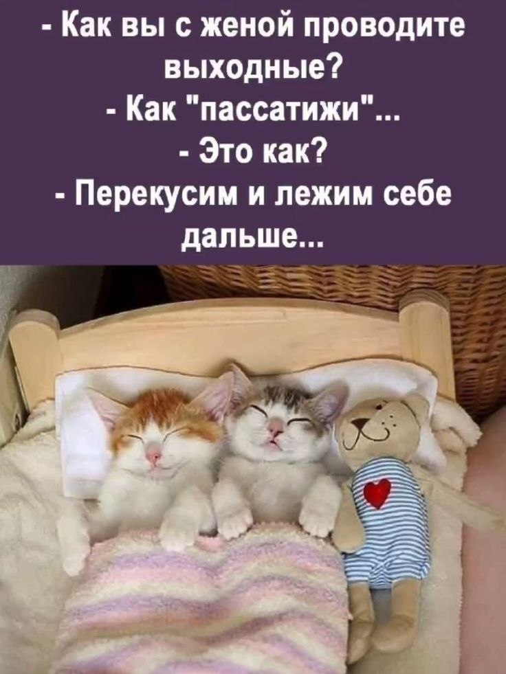 ��� ���� - 21 ������� 2026 � 12:13