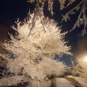 ���� ������, ���������� - ��������� 3 ������ 2024 � ������ ������ ��������
