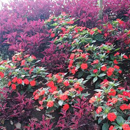 ���� ������, �����, 40 ��� - ��������� 21 ������� 2023