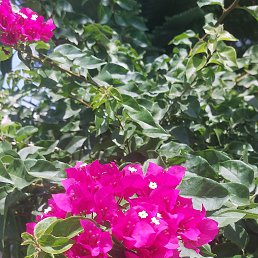 ���� ����, ������, 48 ��� - ��������� 28 ������ 2023