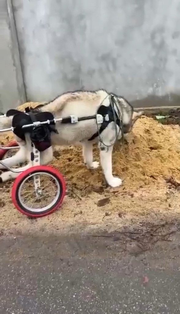 �������� �����, ������� ������ ������������ �������� ��������!