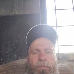 , 53, 