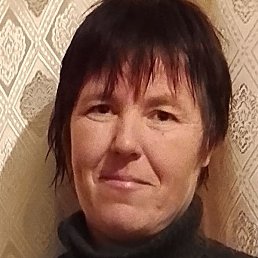 �����, ������, 41 ���