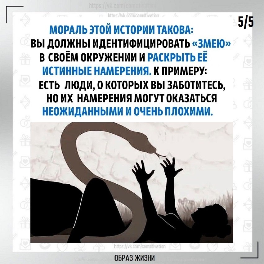 �o����� o� ��o�. - 5