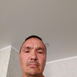 , 44, 