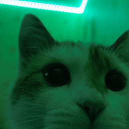 ���� Vladislav_0fficial, ������, 24 ���� - ��������� 5 ������� 2023