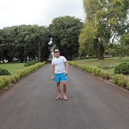 �����, ������, 38 ���