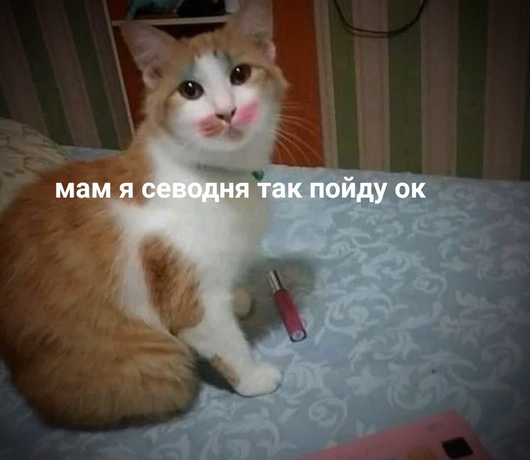    - 27  2024  20:13