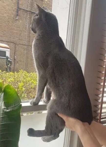  ,     .    ,     =)