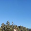 ���� �������, ������� �����, 50 ��� - ��������� 31 ������� 2024 � ������ ���� ����������