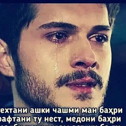 ���������, �����-���������, 31 ���