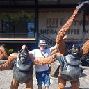 ���� ������ ����, ������, 61 ��� - ��������� 22 ������ 2025 � ������ ���� ����������