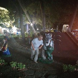 ��������, ������, 65 ���