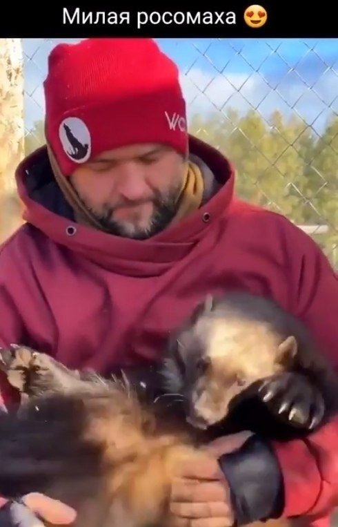 e aeppa pp pocoa! o coe cao acoe cecae, e oooe ...