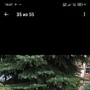 ���� ������, ������ ��������, 46 ��� - ��������� 3 ������ 2025