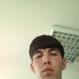 , 26 , 