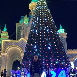 ���� �������, �������, 49 ��� - ��������� 2 ����� 2024