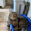 ���� ��������, ��������, 54 ���� - ��������� 6 ������� 2025 � ������ ���� ����������