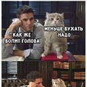  Koiehca, , 38  -  16  2025