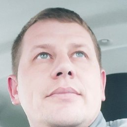 ����, �����-���������, 37 ���