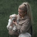 ���� ������, �����������, 55 ��� - ��������� 5 ��� 2026 � ������ ���� ����������