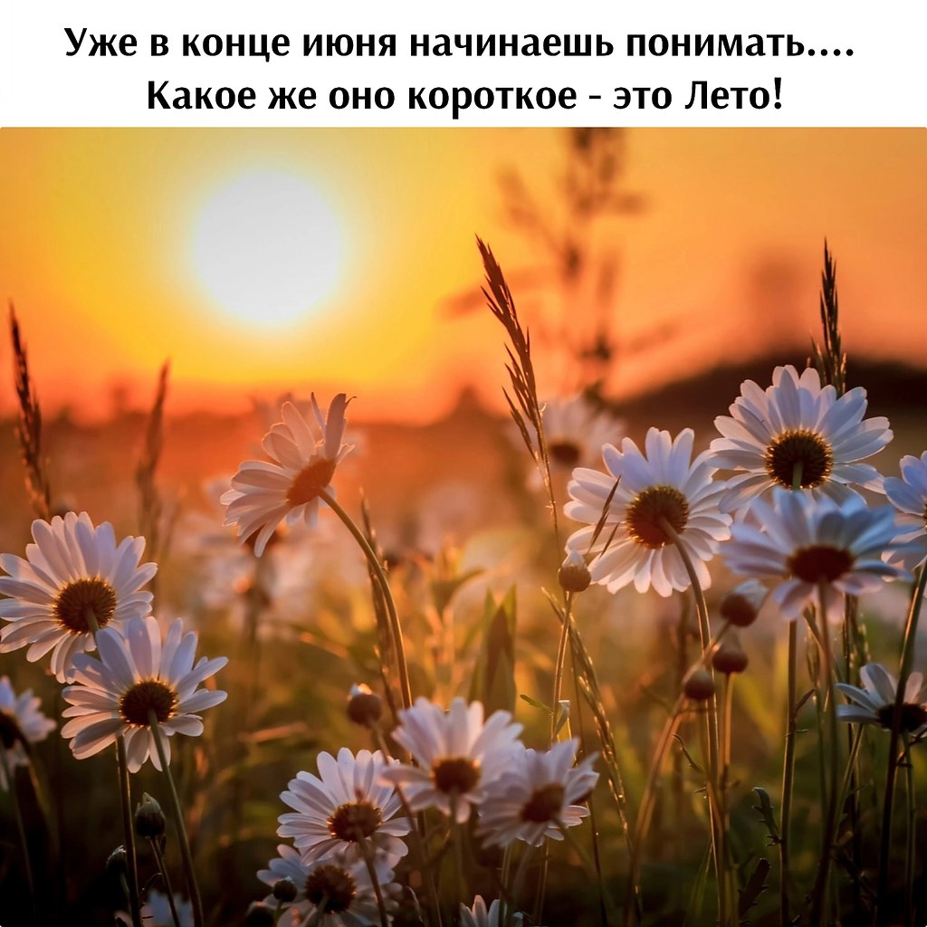   - 29  2024  20:00