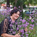  Rina..., , 64  -  25  2025    