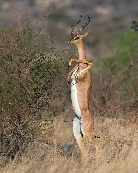 :) ������������� � ��������� � ��������� � ��������� ����, ��������� ����� ������������ �������� �� ...