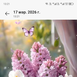 ���� ������, ��������, 51 ��� - ��������� 29 ������ 2026