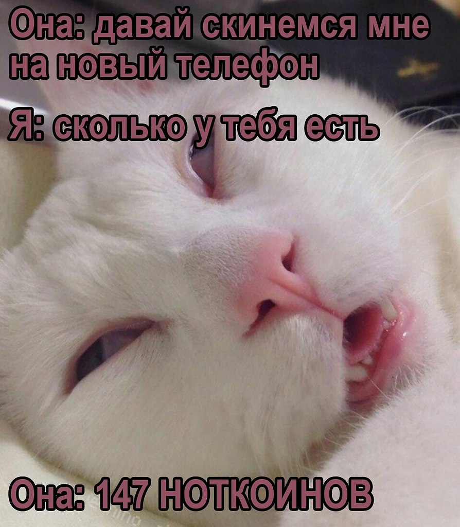     ! - 10  2024  19:24