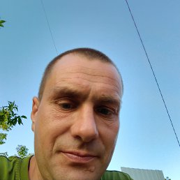 , 37, 