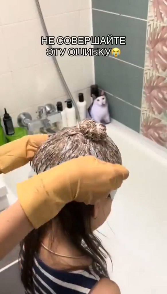    ,      