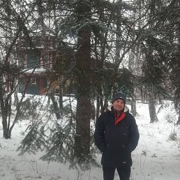 , 55 , 