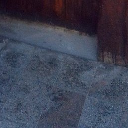 ����, ����, 48 ���