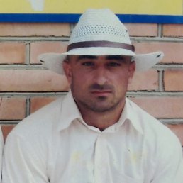 �����, ������, 43 ����