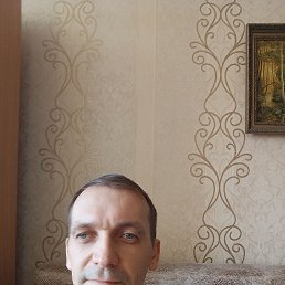 ������� ���������, 41 ���, ���������