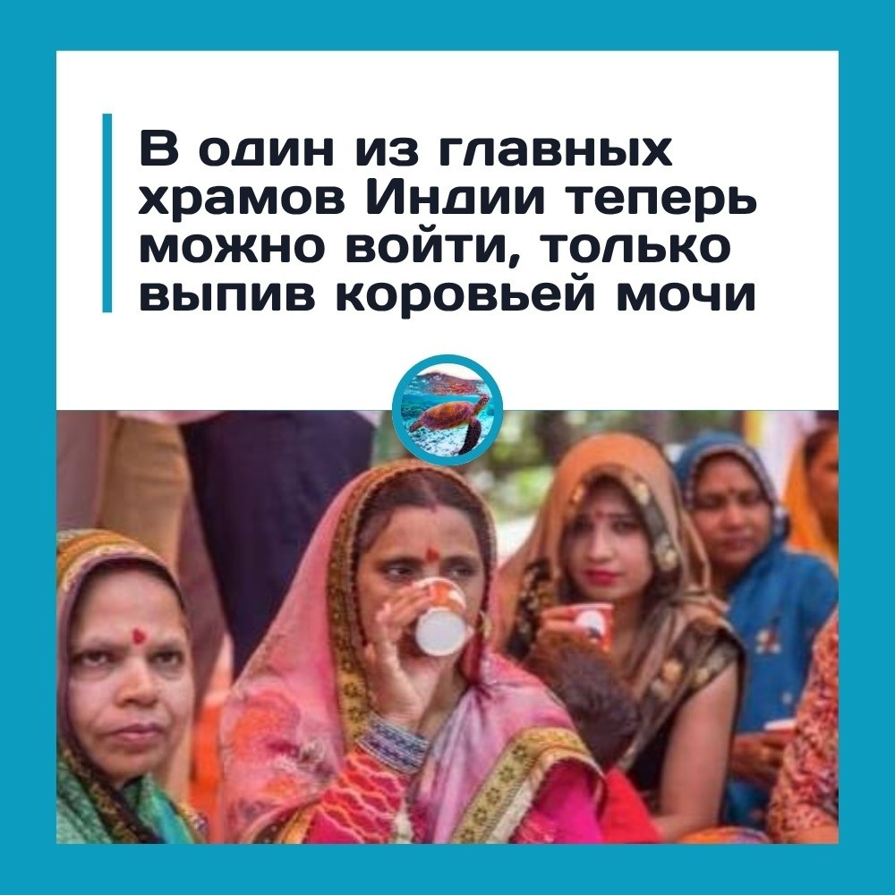 �����c�o� �pa�e ��e�� �eo����oe �pa���o. o��o� �� �pa�o� � a��o�p� ��o� pa�pe��� �o���o �e�, ��o ... - 2