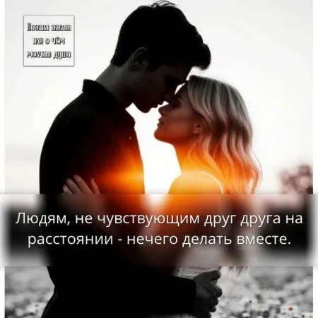 - 29  2025  10:52