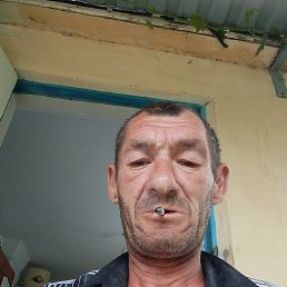 , 53, 