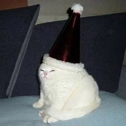 Ѹ��, ������, 22 ����