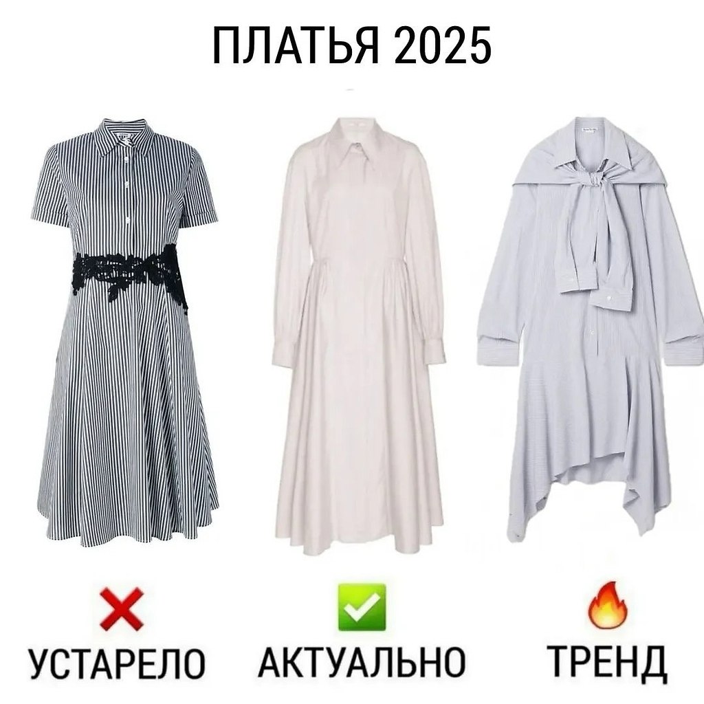  2025.