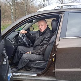 ��������, �����, 65 ���